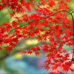 解析新时代H5在活动策划中的创新应用 38f27ntap