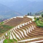 新时代APP如何改变我们的生活方式与习惯 ihoc10m