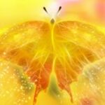 新时代H5助力企业提升用户体验的策略 pylyugfd